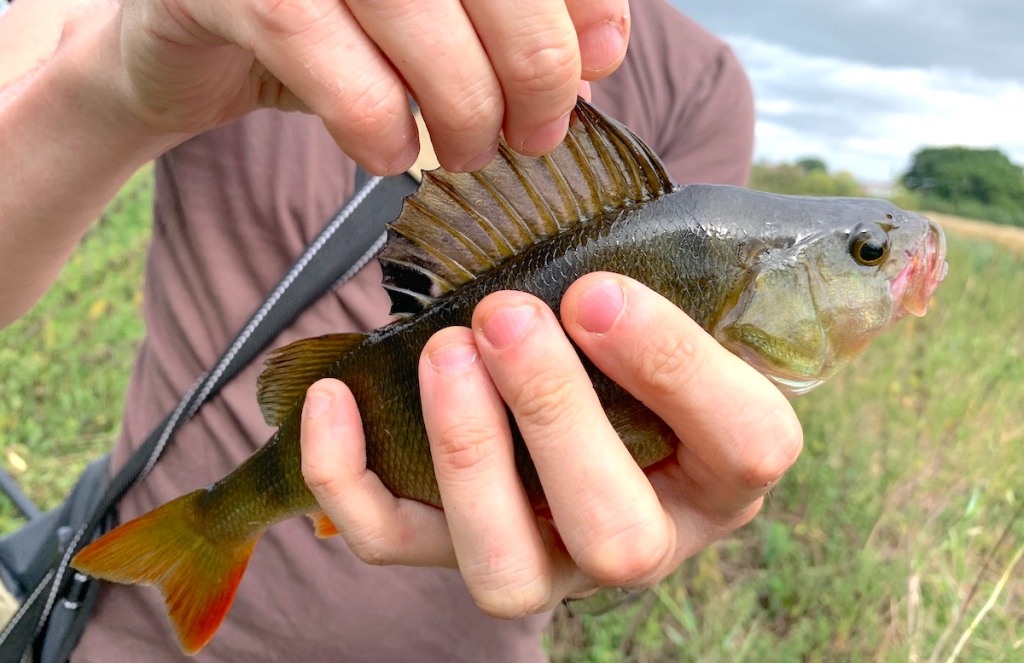 Fly Fishing Afoot for Western Bass: Exploring the West's Lakes